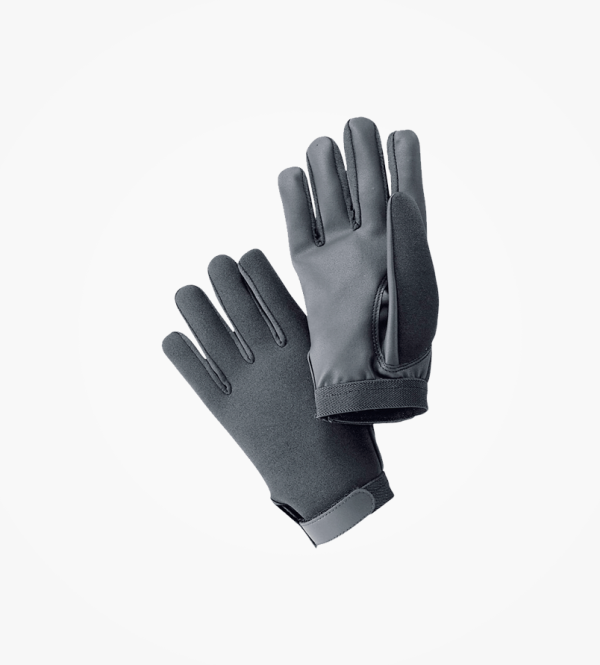 Winter Gloves